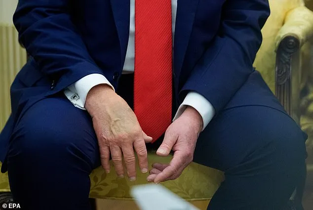White House Confirms Blue Object in Viral Photo of President Trump at U.S. Open Men's Final