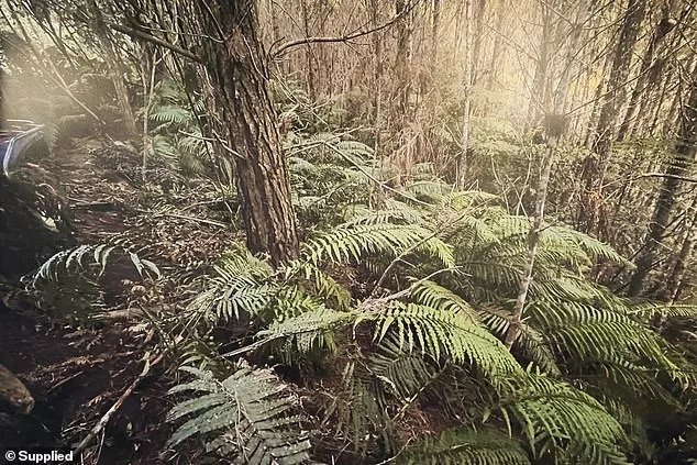 New Zealand Police Discover Tom Phillips' Children at Remote Campsite Following Fatal Confrontation