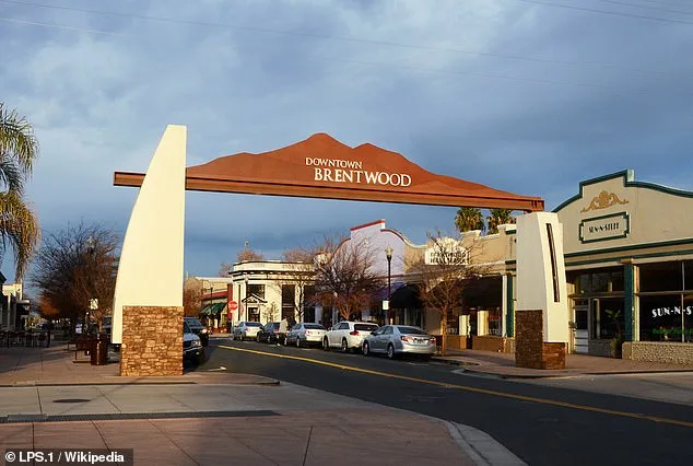 Brentwood's Longest Commutes: A National Secret Exposed by Census Data