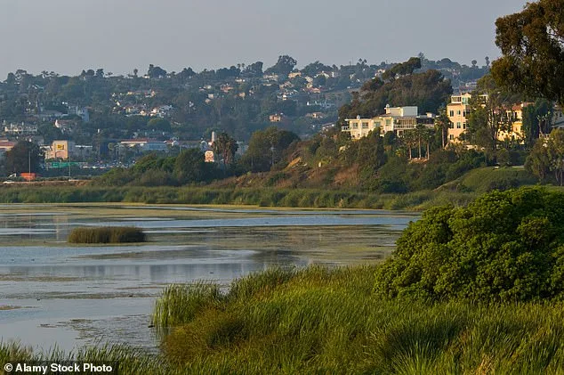 California Retail Magnate Fined Over Gate Blocking Public Beach Access, Sparking Legal Dispute