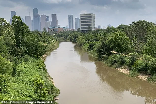 Eerie Perspectives on Houston's Mystery Murders: 23 Bodies Found in Bayous Spark Serial Killer Fears