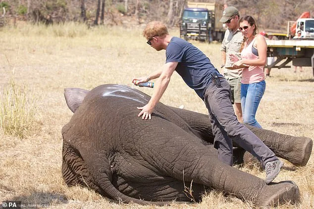 Chad's Government Ends 15-Year Partnership with African Parks Over Neocolonialism Accusations