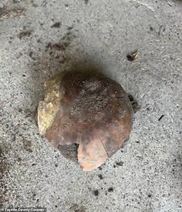 Exclusive Discovery: 4,270-Year-Old Skull Unearthed in Indiana Sparks Legal and Archaeological Debate