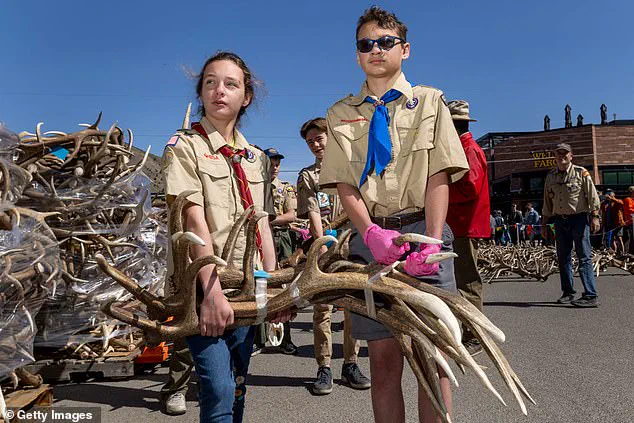 Exclusive: Pentagon's Privileged Access to Boy Scouts' DEI Shifts Sparks Ties Cutoff
