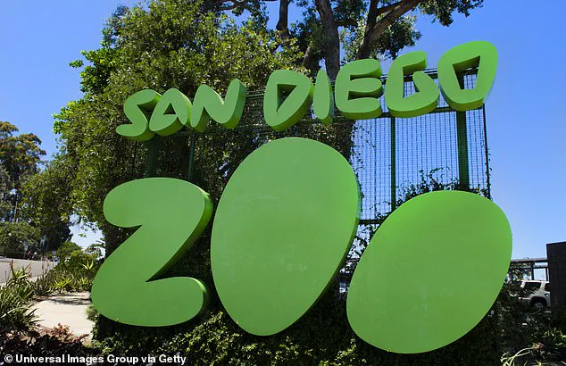 San Diego Zoo Mourns the Death of Gramma, the 141-Year-Old Galapagos Tortoise Icon