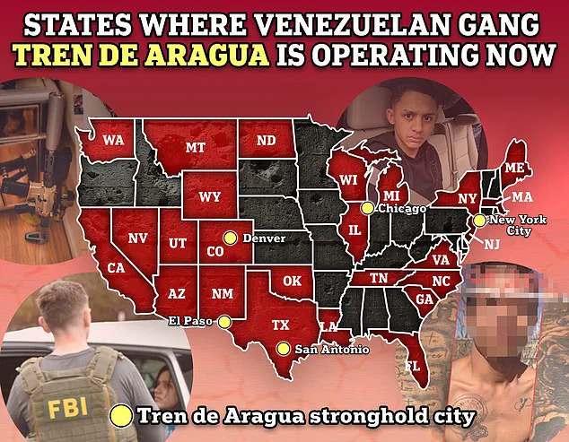 Federal Officials Warn of Venezuelan Gangs' Reemergence Amid Immigration Crackdown