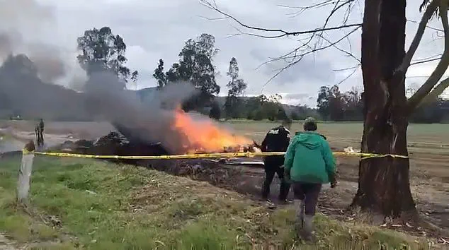 Tragic Plane Crash Claims Lives of Renowned Singer and Five Others in Colombia