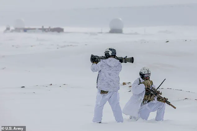 Germany Rushes to Establish Arctic NATO Operation Amid Fears of Trump's Moves on Greenland