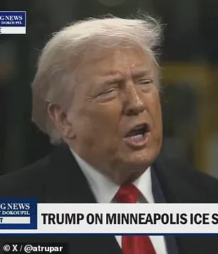 Trump's ICE Policies Spark Protests and Domestic Policy Debate