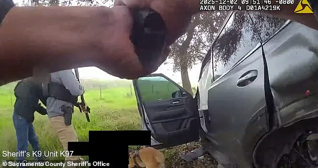 Elk Grove Tragedy Highlights Need for Improved Information Access and Credible Expert Advisories in Public Safety Crises