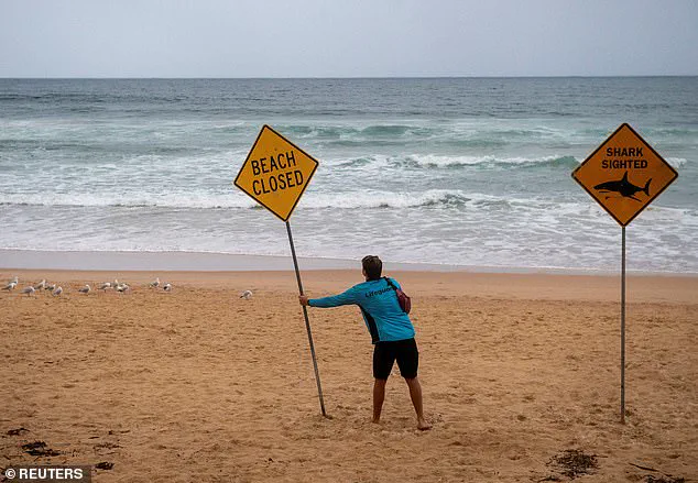 Sydney Beaches on Lockdown After Three Shark Attacks, Including Two Children, Spark Calls for Safety Measures