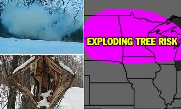 Historic Winter Storm Brings Catastrophic Snow and Ice to 230 Million Americans from Southwest to Northeast