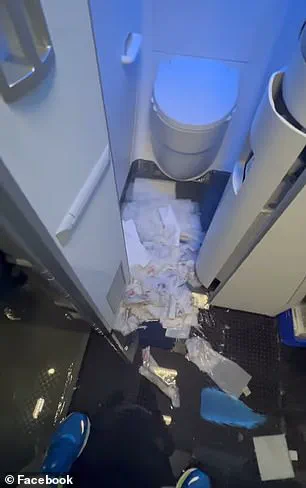 Winter Storm Forces Airline Chaos as Family Faces Flooded Plane and Canceled Flights