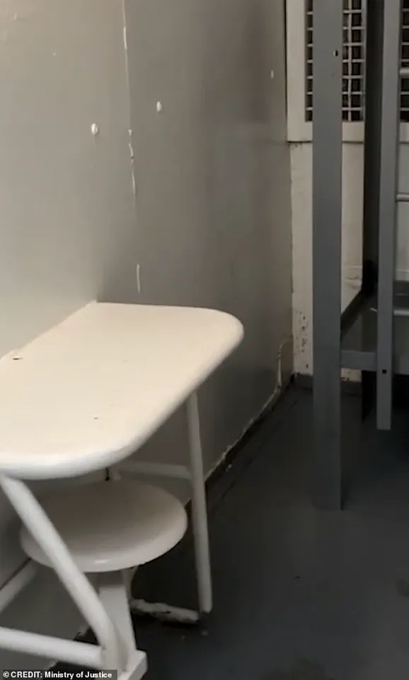 Newly Released Footage from Metropolitan Correctional Center Sparks Questions About Epstein's Death and Prison Operations