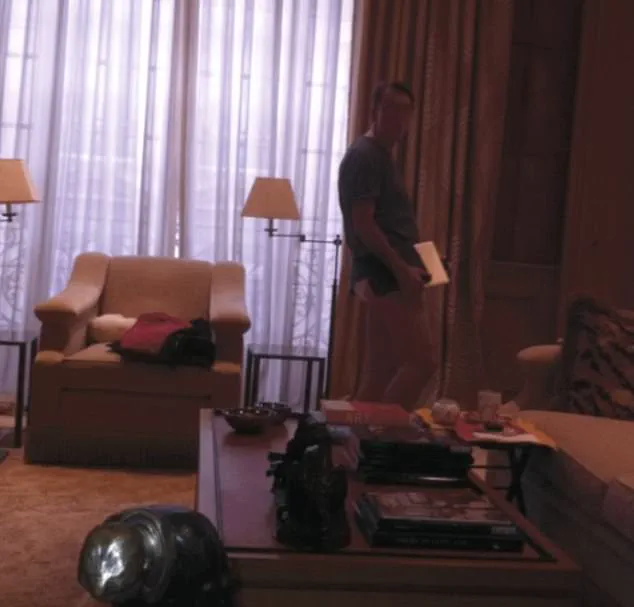 Shocking Photo of Peter Mandelson in Epstein's Paris Flat Sparks Political Scandal Resurfaces