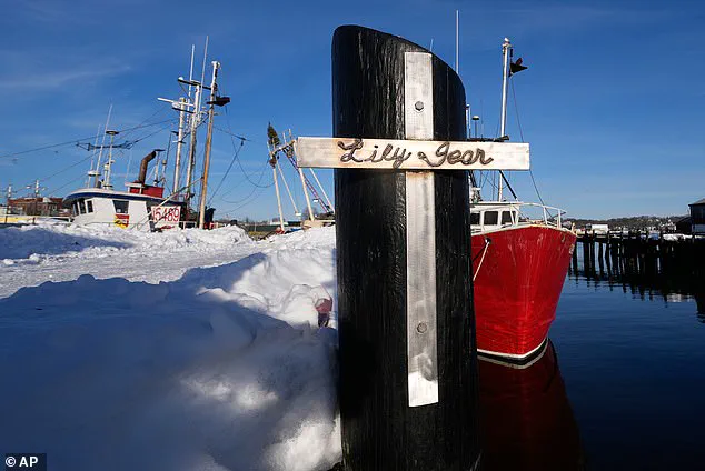 Seven Identified in Lily Jean Fishing Boat Tragedy as Community Mourns