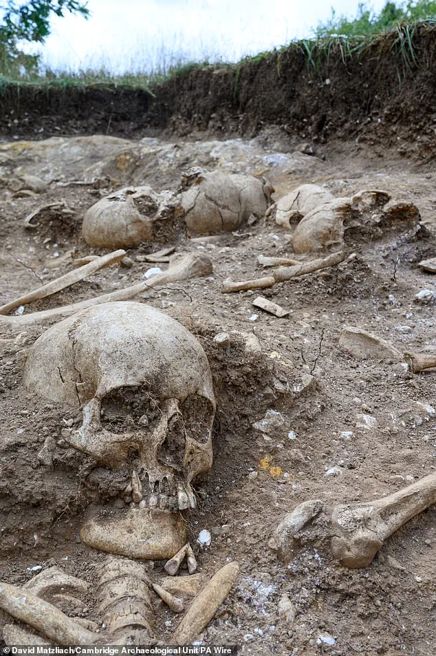 Viking-Era Burial Pit Unearths Decapitated Remains and Towering Figure, Hinting at 9th-Century Anglo-Saxon Conflict