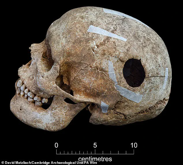 Viking-Era Burial Pit Unearths Decapitated Remains and Towering Figure, Hinting at 9th-Century Anglo-Saxon Conflict