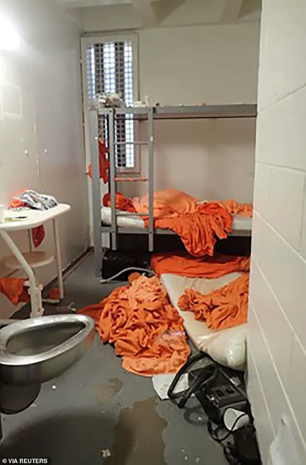 Alleged Government Conspiracy in Epstein's Death Emerges from Inmate Pairing with Murder Suspect