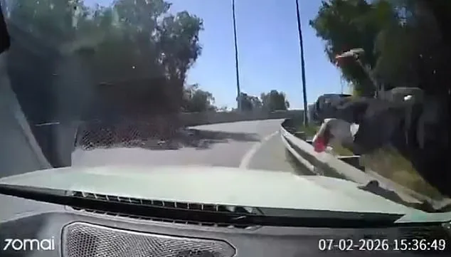 Chilean Motorist's Bold Move Sparks Debate Over Self-Defense After Highway Robbery Standoff