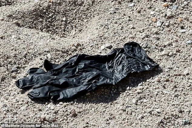 A Glove's Clue: DNA Labs International's Pivotal Role in the Search for Missing Nancy Guthrie