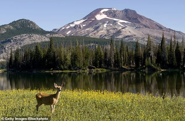 Oregon at a Crossroads: Controversial PEACE Act Proposal Sparks Debate Over Hunting, Fishing Bans