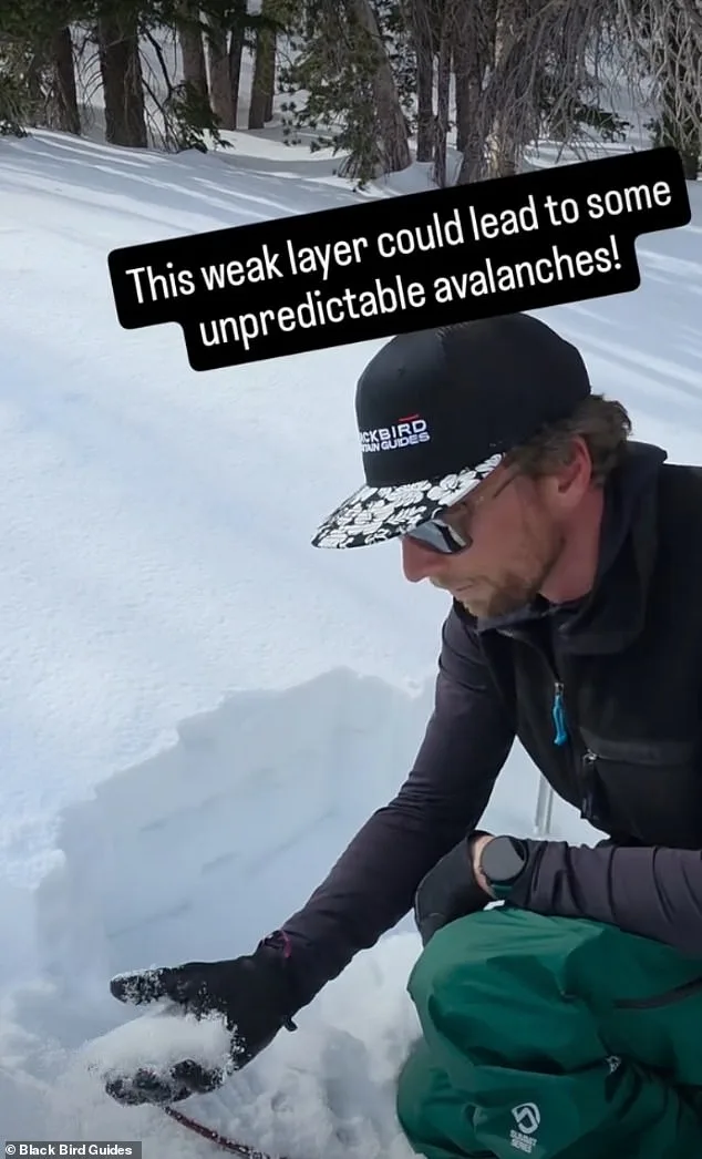 Tragic Irony as Blackbird Mountain Guides' Deleted Comment Promoted Avalanche Courses Amid Tahoe Disaster