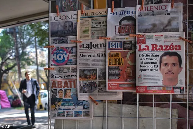 Silence Amid the Ashes: Puerto Vallarta's Hidden War and the Government's Secret