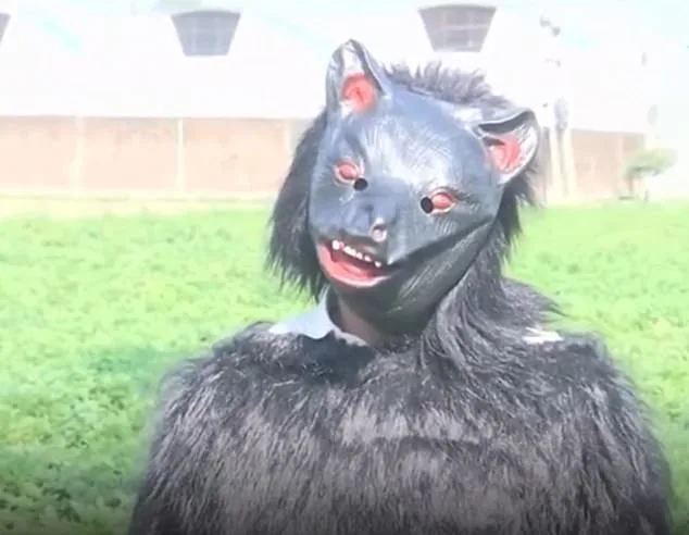 Desperate Farmers in India's Sambhal District Turn to Bear Costumes to Deter Monkeys Raiding Crops