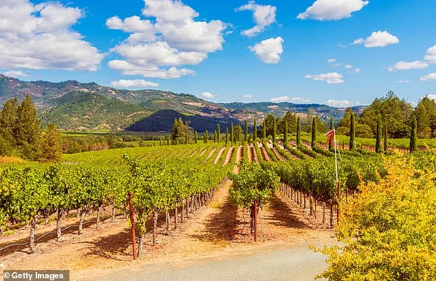 Lindsay Hoopes Faces $4 Million Fines in Legal Battle Over Napa Winery's 'Small Winery Exemption