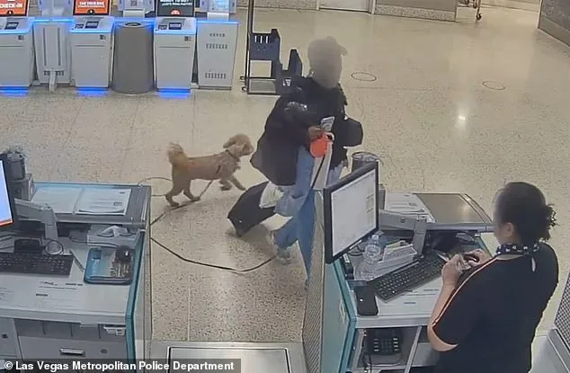 Woman Charged with Abandoning Service Dog at Las Vegas Airport After Being Denied Travel Permission