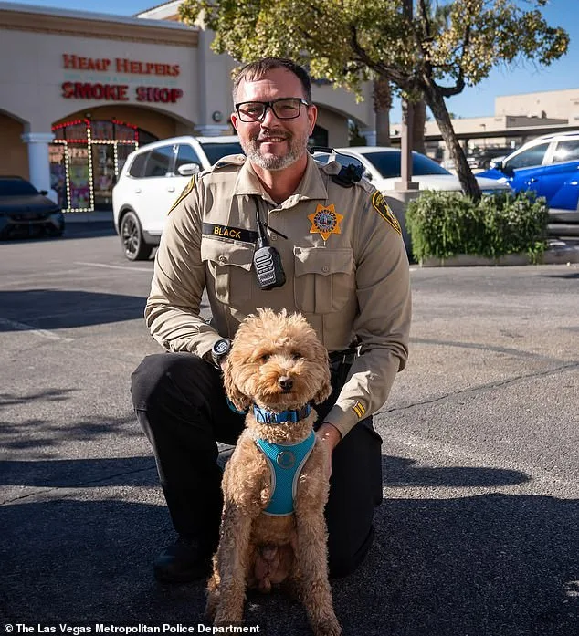 Woman Charged with Abandoning Service Dog at Las Vegas Airport After Being Denied Travel Permission